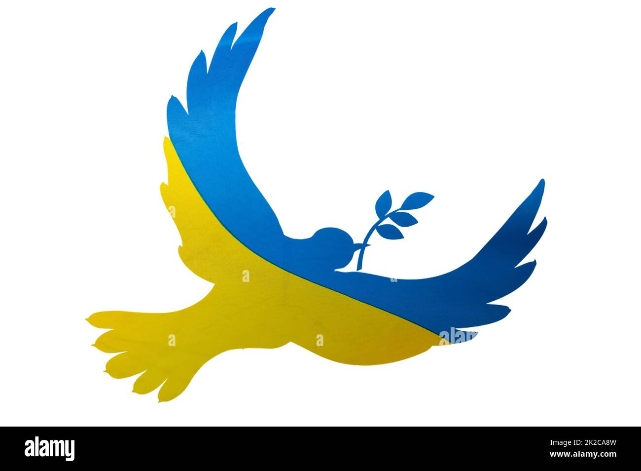 Colombe dans les couleurs du drapeau ukrainien, guerre avec la Russie, paix pour l'Ukraine Banque D'Images