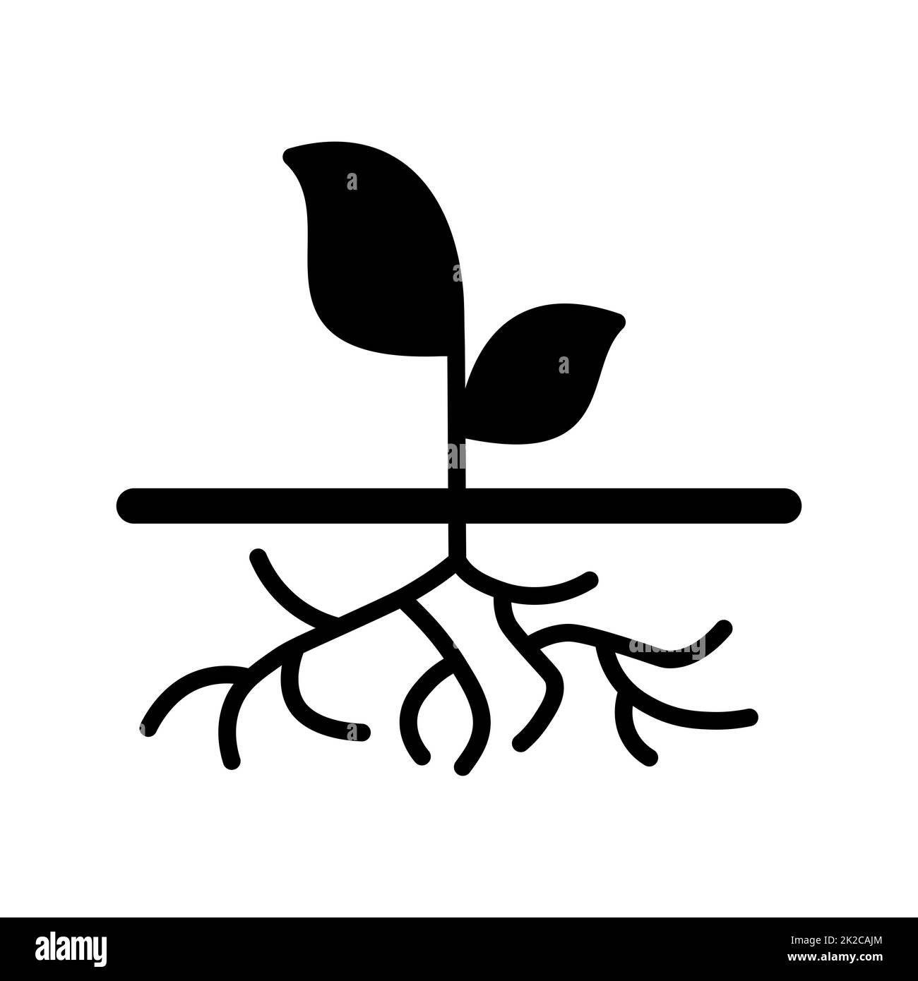 Jeune plante verte avec des racines fortes icône visible Banque D'Images
