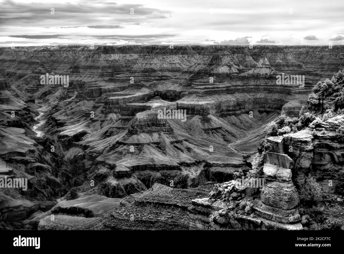 Grand Canyon Arizona noir et blanc Banque D'Images