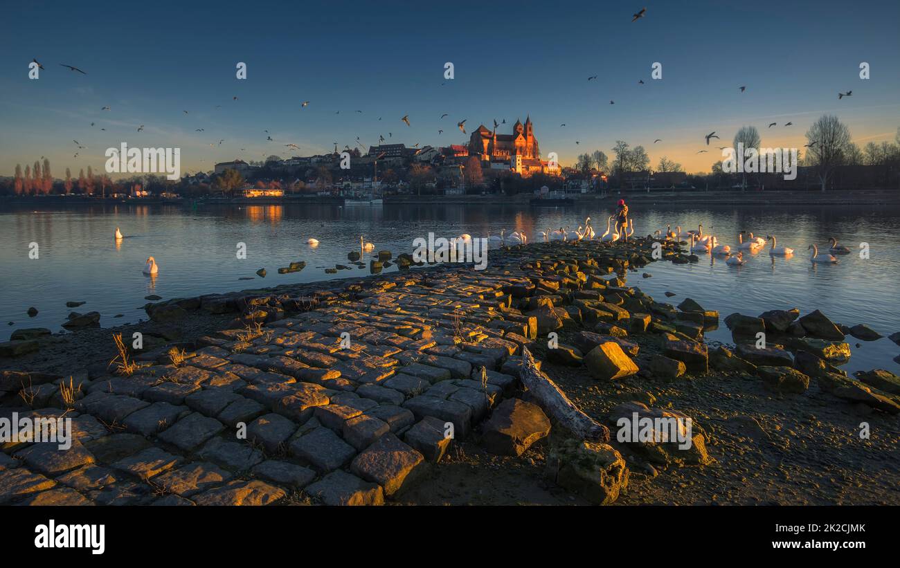 Breisach am Rhein Banque D'Images