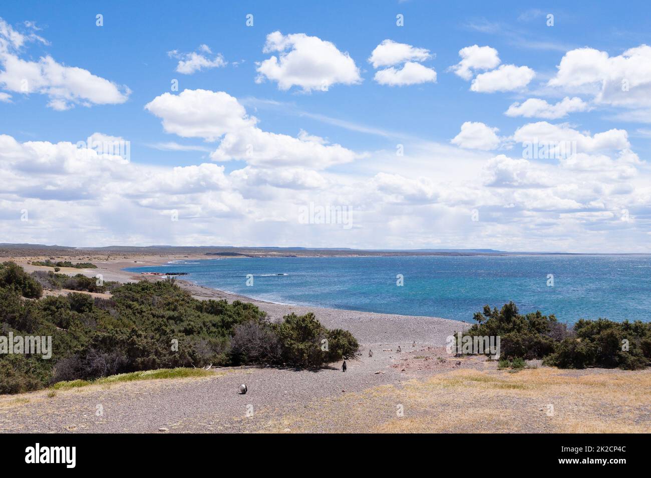 Vue sur la plage de Punta Tombo, Patagonie, Argentine Banque D'Images