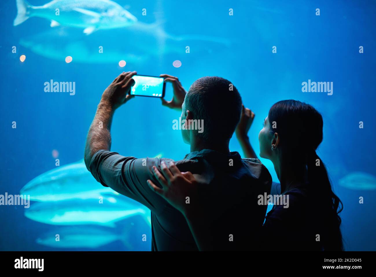 Capturez la beauté. Photo d'un couple prenant une photo du poisson dans un aquarium. Banque D'Images