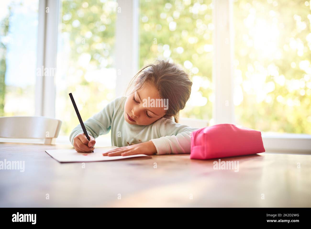 Faire preuve de créativité. Prise de vue d'une petite fille focalisée en dessinant des images dans un livre tout en étant assis à une table à la maison. Banque D'Images