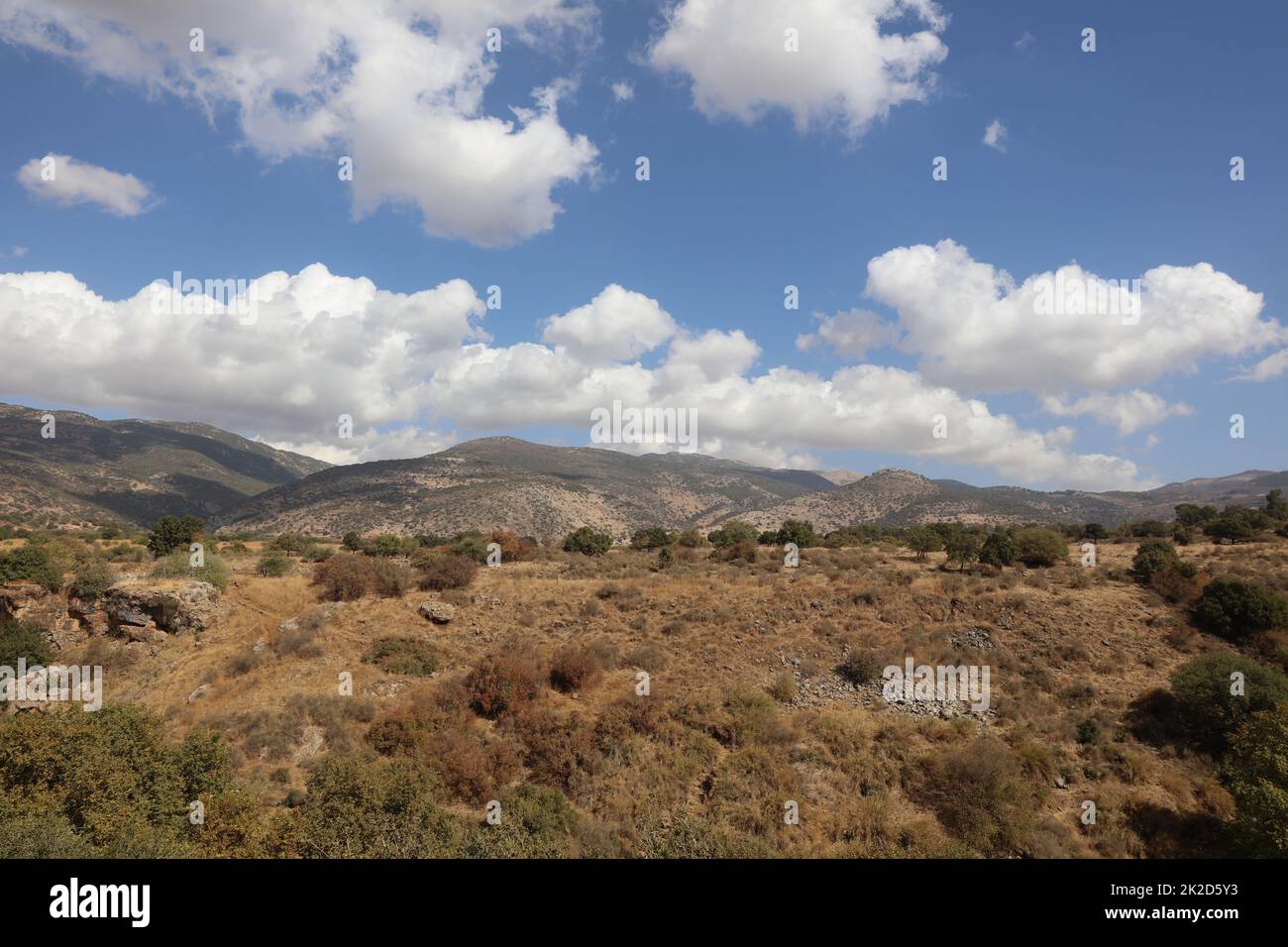 Vue du plateau du Golan à la Syrie. Israël Banque D'Images