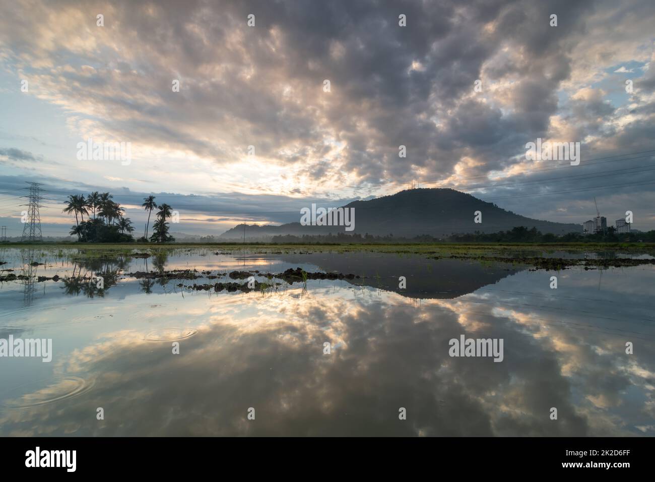 Reflet du lever du soleil près de la noix de coco Banque D'Images