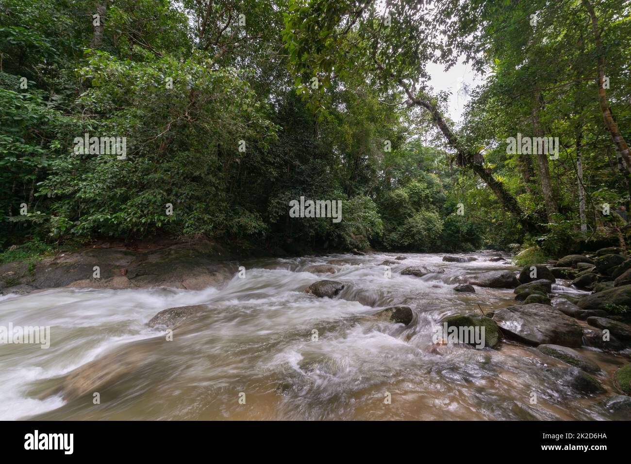 Belle cascade de chute d'eau à la forêt de Malaisie Banque D'Images