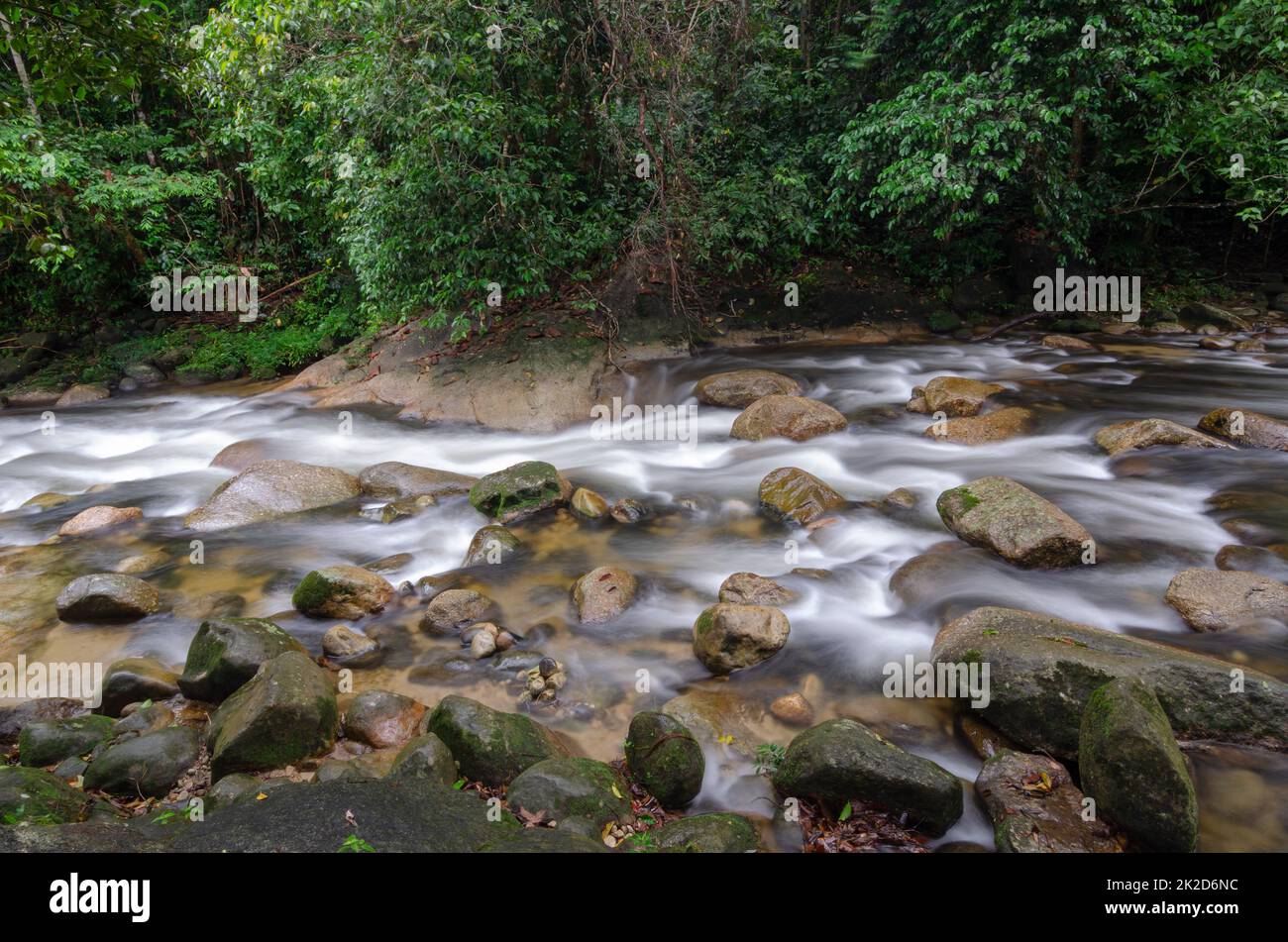 La cascade coule au-dessus de la roche dans la forêt tropicale Banque D'Images