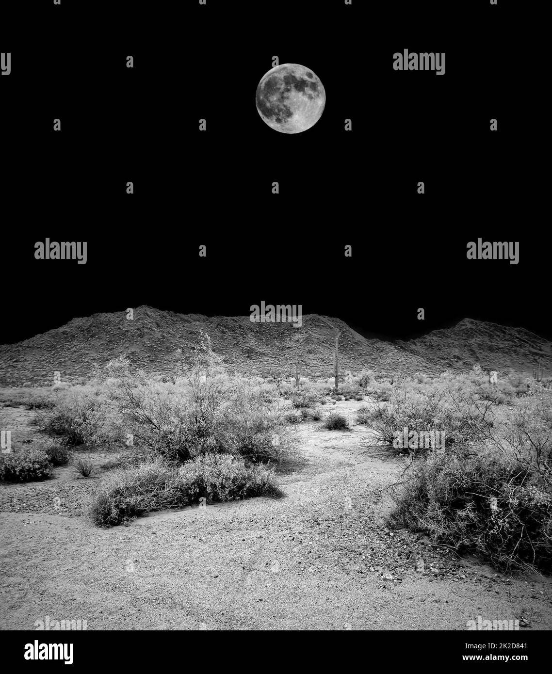Sonora Desert Moon montagnes San Tan Banque D'Images