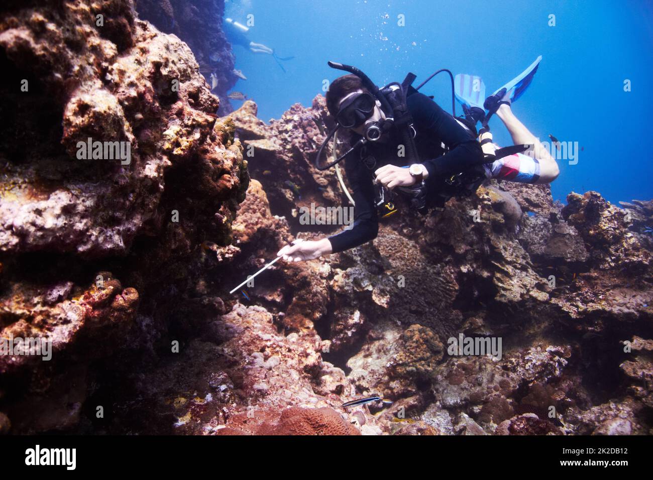 Voyons ce qui vit dans ce trou. Jeune homme plongée sous-marine sur un magnifique récif. Banque D'Images