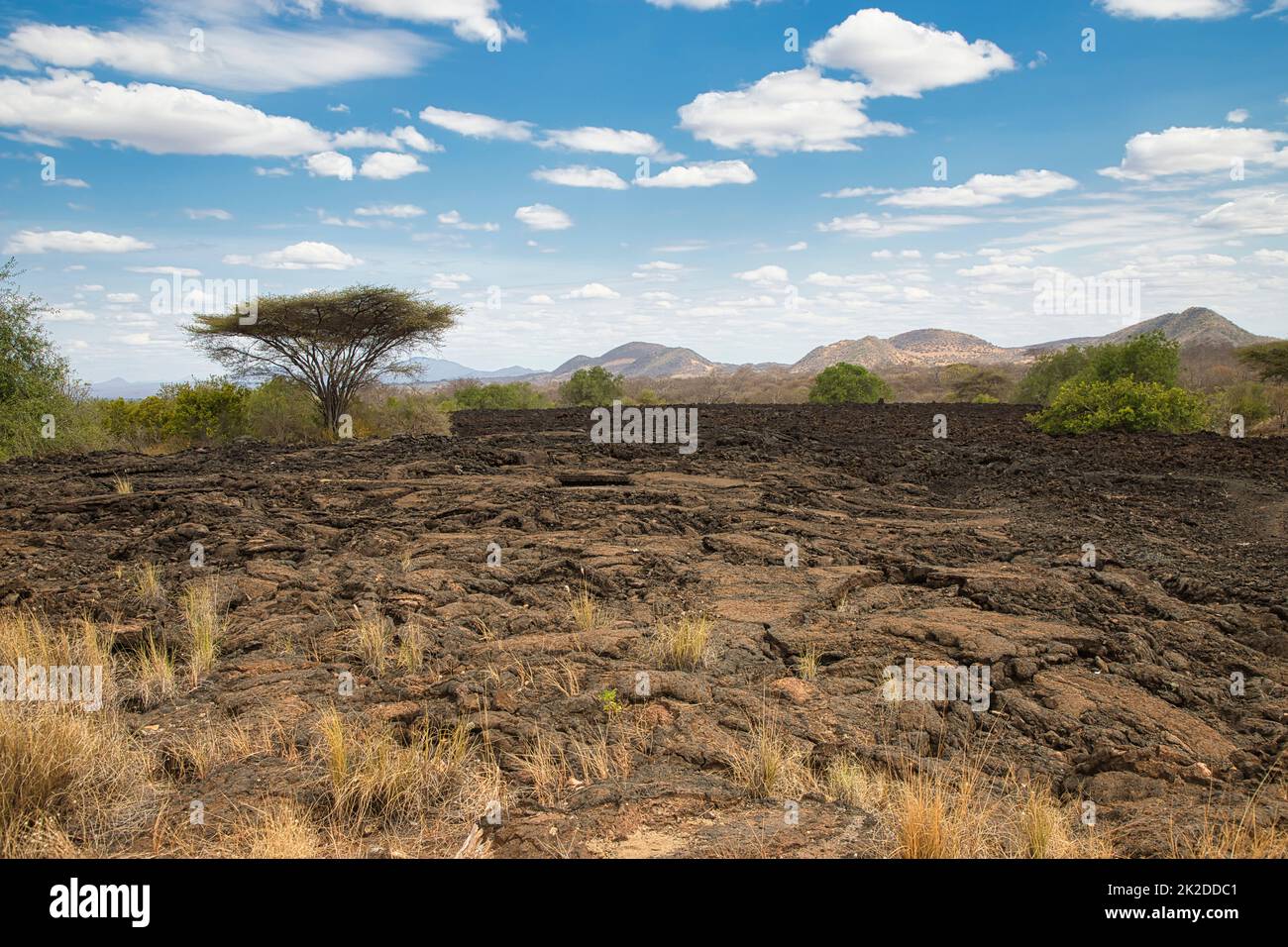 Paysage aux coulées de lave Shetani dans le parc national de Tsavo West au Kenya. Banque D'Images