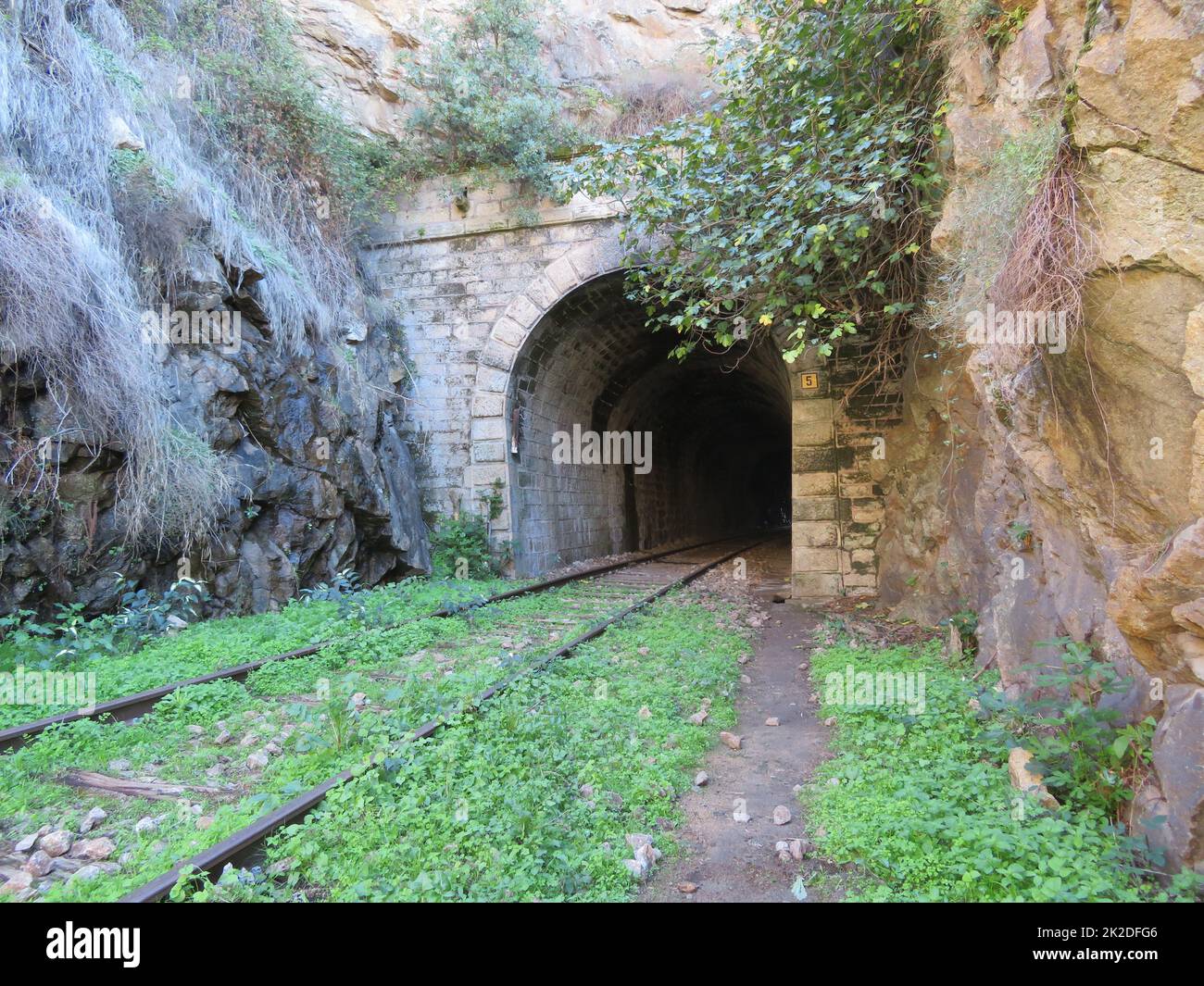 pont de chemin de fer feu de chemin de fer métallique à la fin du transport en tunnel Banque D'Images pont de chemin de fer feu de chemin de fer métallique à la fin du transport en tunnel Banque D'Images