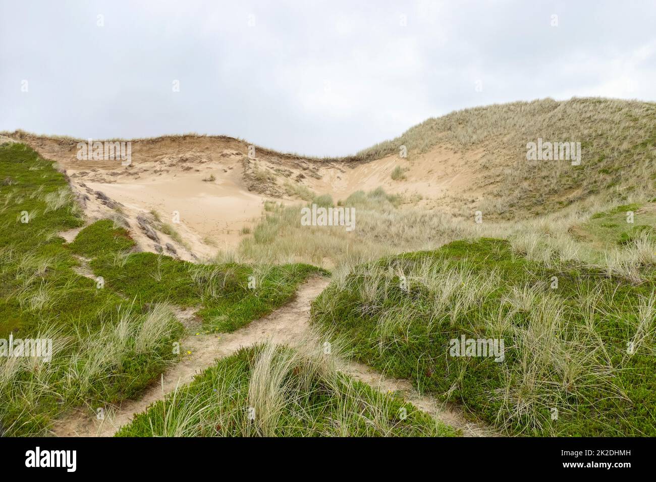 Rotes Kliff à Sylt Banque D'Images