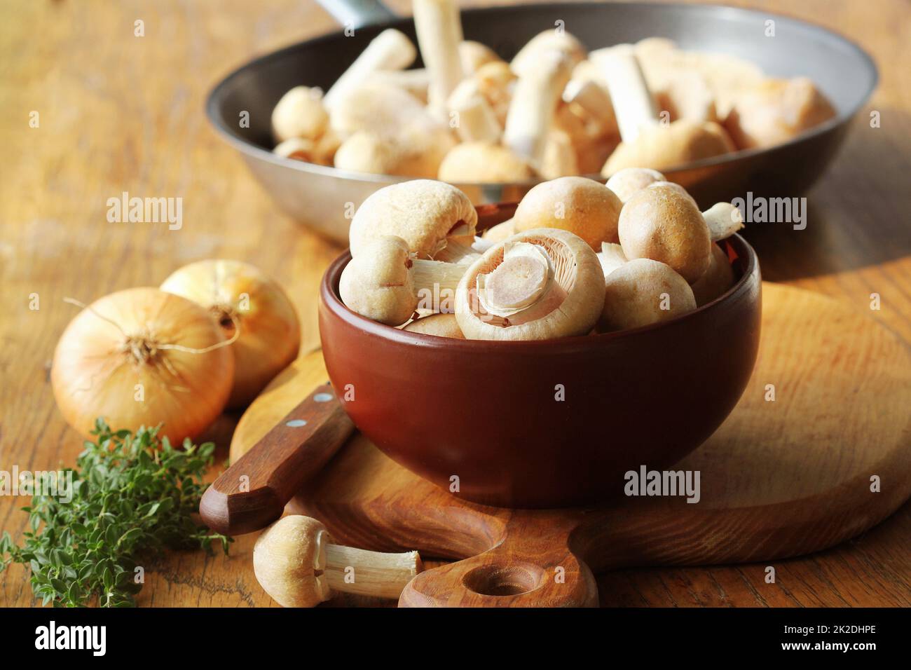 Gypsy brutes ou de champignons Cortinarius caperatus redy champignons pour la cuisson. La composition avec les champignons sauvages, les herbes, l'oignon Banque D'Images