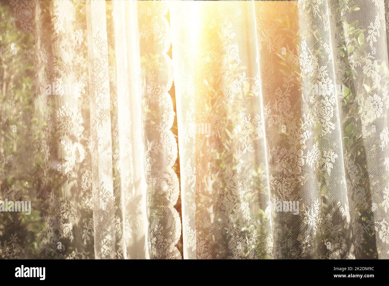 rideau blanc décoration intérieure avec vue sur la fenêtre arbre jardin arrière-plan Banque D'Images