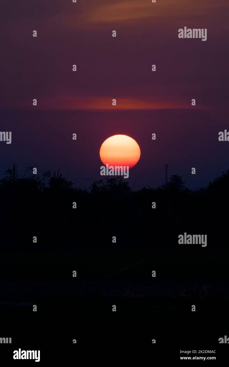 Silhouette d'un paysage d'arbre contre un ciel de coucher de soleil Dawn coucher de soleil Banque D'Images