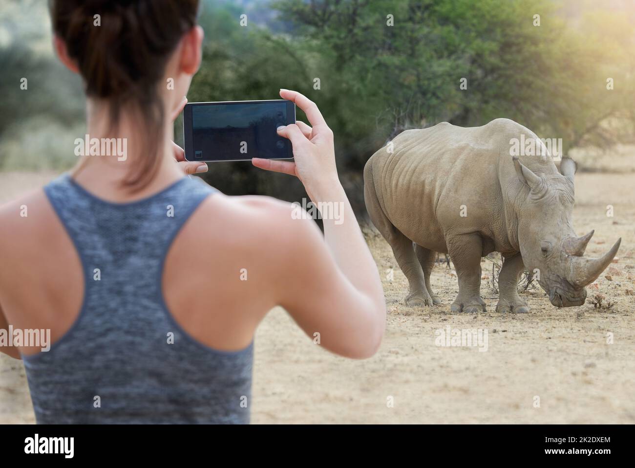 Immortaliser une expérience inoubliable. Prise de vue d'une jeune femme non identifiable prenant une photo d'un rhinocéros dans la nature. Banque D'Images