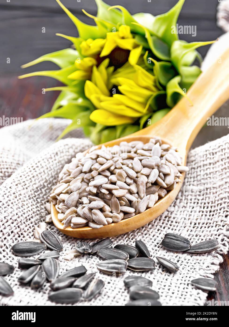 Graines de tournesol en cuillère avec fleur sur la table Banque D'Images