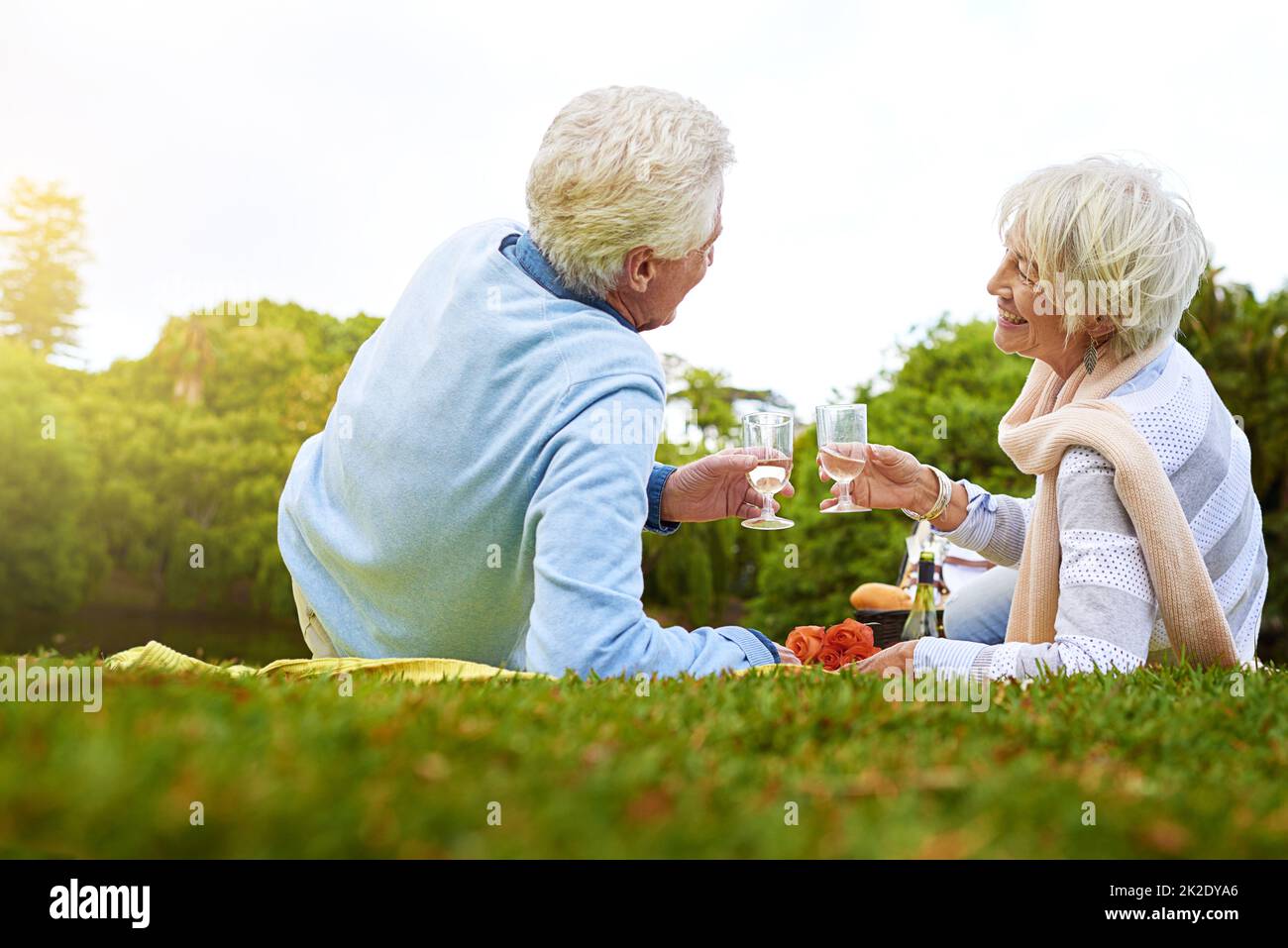 Pique-nique dans le parc. Photo d'un couple senior en train de pique-niquer dans un parc. Banque D'Images