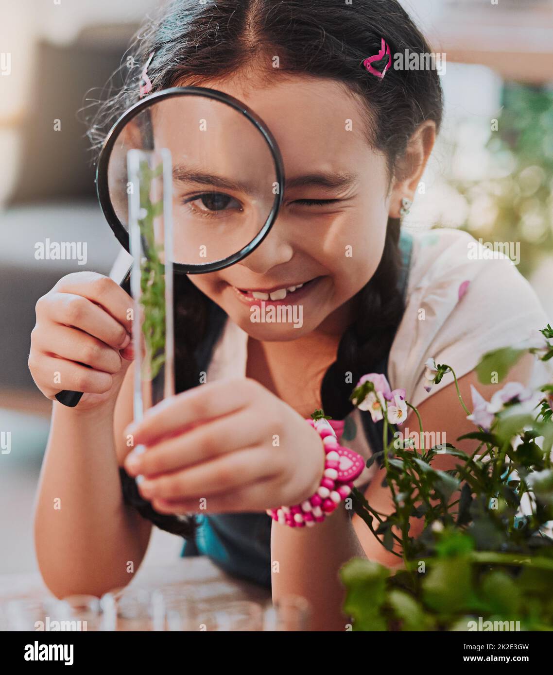 Vue d'ensemble. Coupe courte d'une adorable petite fille regardant à travers une loupe tout en analysant les plantes d'un tube à essai à la maison. Banque D'Images