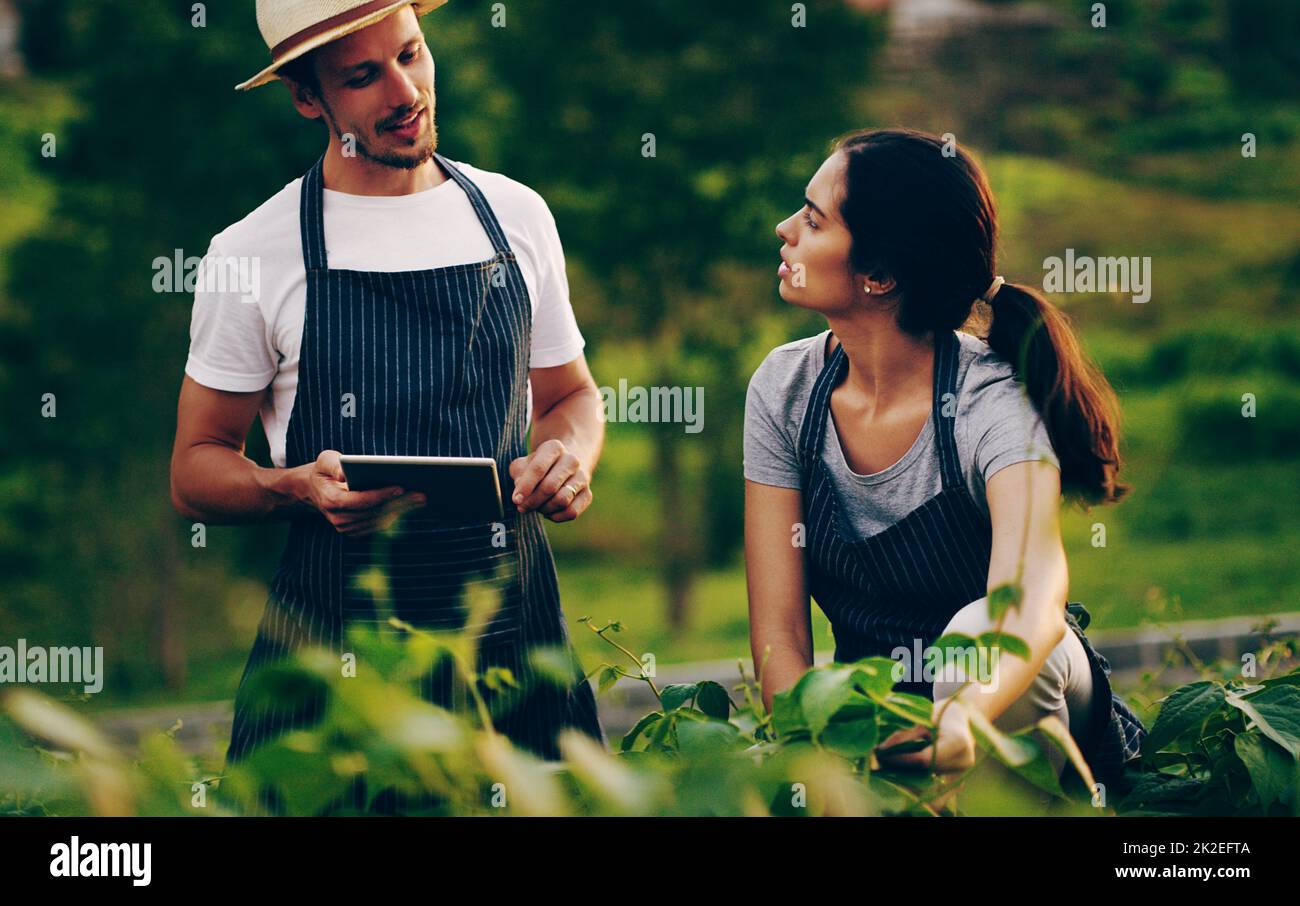 Le travail d'équipe fait fonctionner la croissance. Photo d'un jeune couple utilisant une tablette numérique ensemble tout en travaillant dans un jardin. Banque D'Images