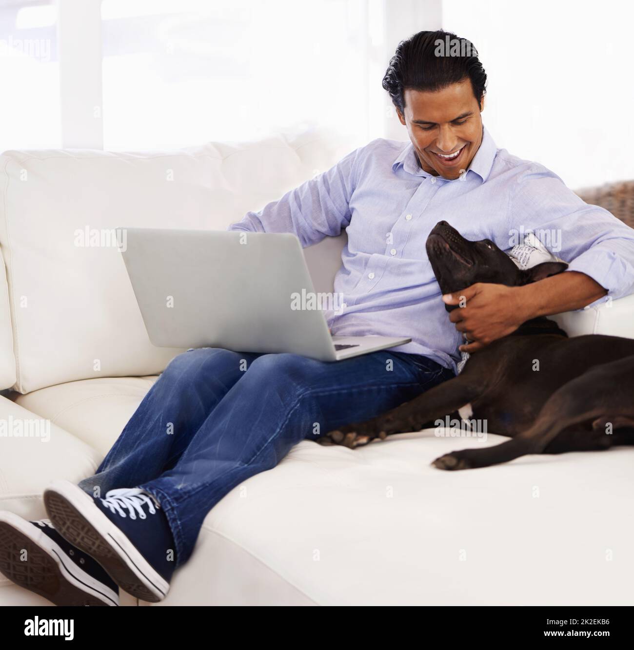 HES toujours à mes côtés. Un beau jeune homme qui pète son chien tout en travaillant sur un ordinateur portable à la maison. Banque D'Images