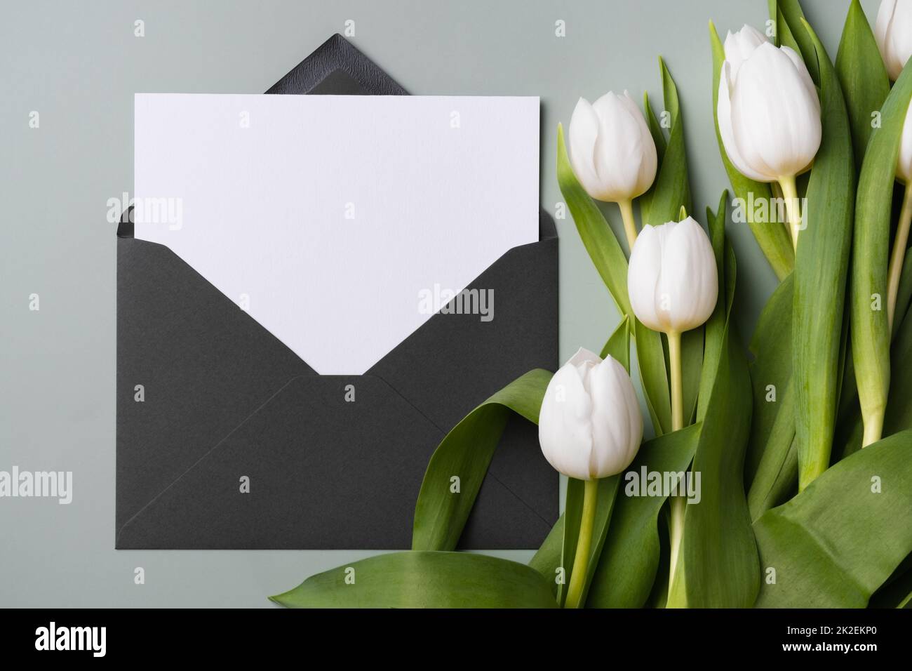 Carte blanche vierge en enveloppe et bouquet de tulipes blanches. Carte de vœux ou d'invitation vierge sur papier maquette. Banque D'Images Carte blanche vierge en enveloppe et bouquet de tulipes blanches. Carte de vœux ou d'invitation vierge sur papier maquette. Banque D'Images