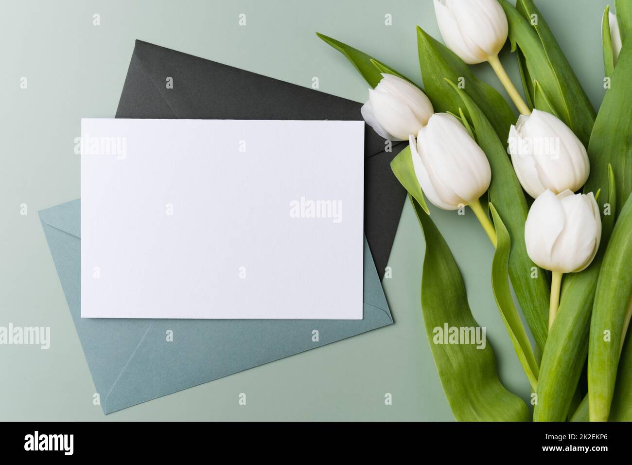 Préparation d'une carte de vœux. Carte blanche vierge avec enveloppe vert pâle, maquette de modèle. Banque D'Images Préparation d'une carte de vœux. Carte blanche vierge avec enveloppe vert pâle, maquette de modèle. Banque D'Images
