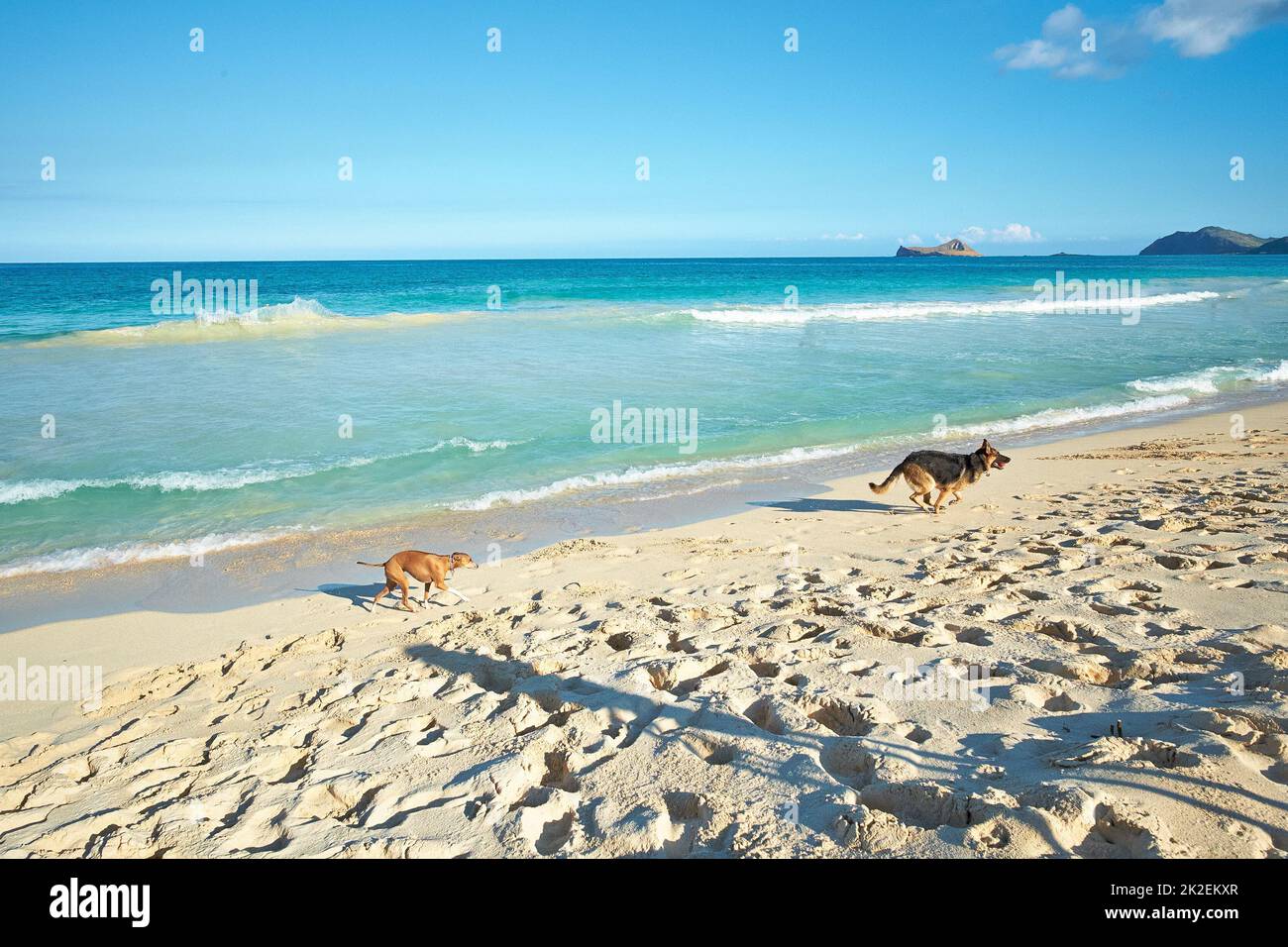 Front de mer. Une série de photos de l'océan, de la plage et de la côte. Banque D'Images