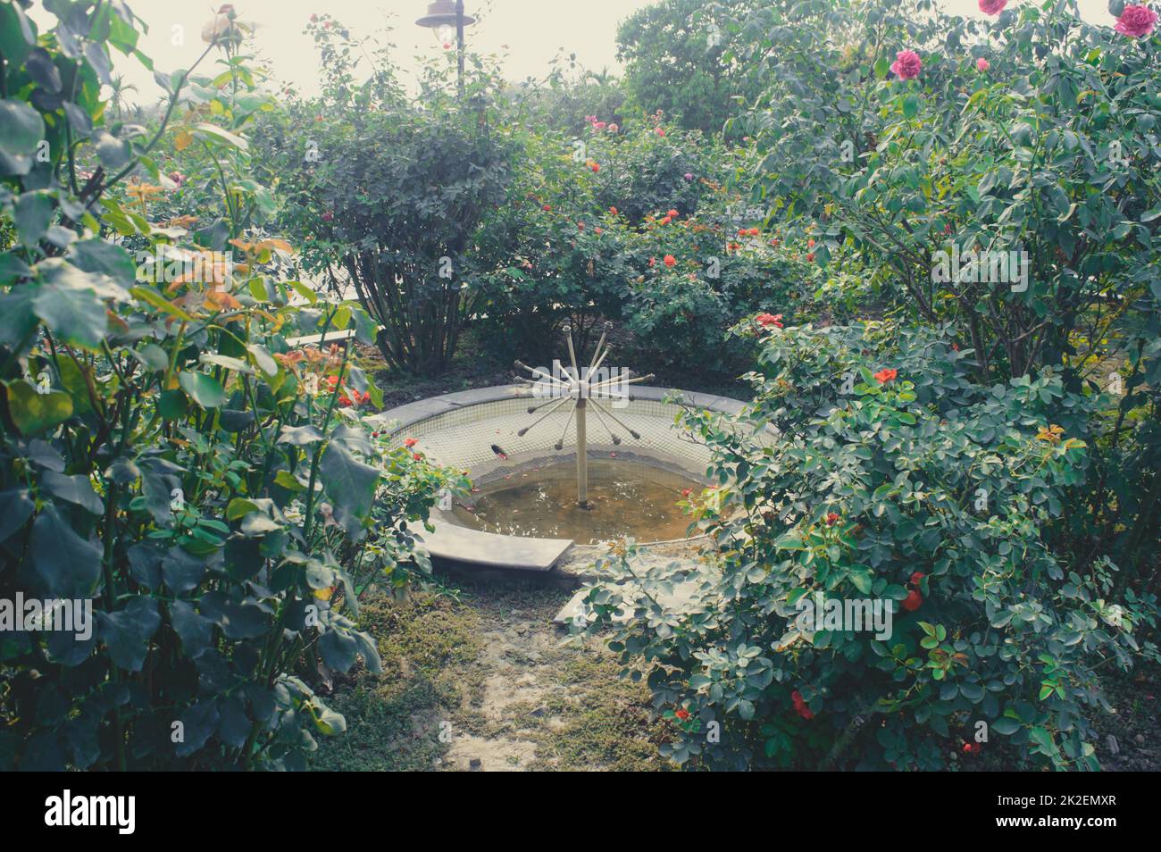 Belle fontaine d'eau de jardin dans le Yard terrain sur un parc public entouré de fleurs. Banque D'Images