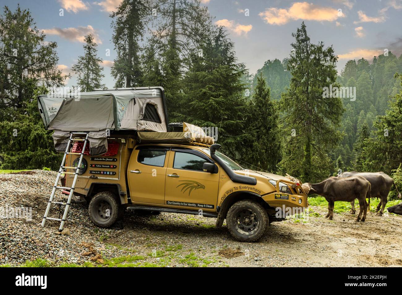 Vivre une vie de van à Khajiar, Himachal Pradesh, Inde Banque D'Images