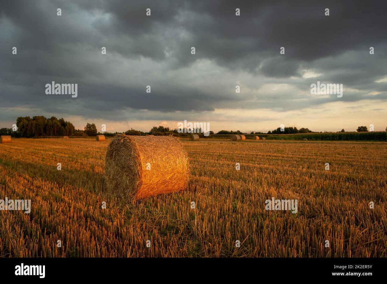 Balle de foin ronde dans le champ et ciel nuageux Banque D'Images