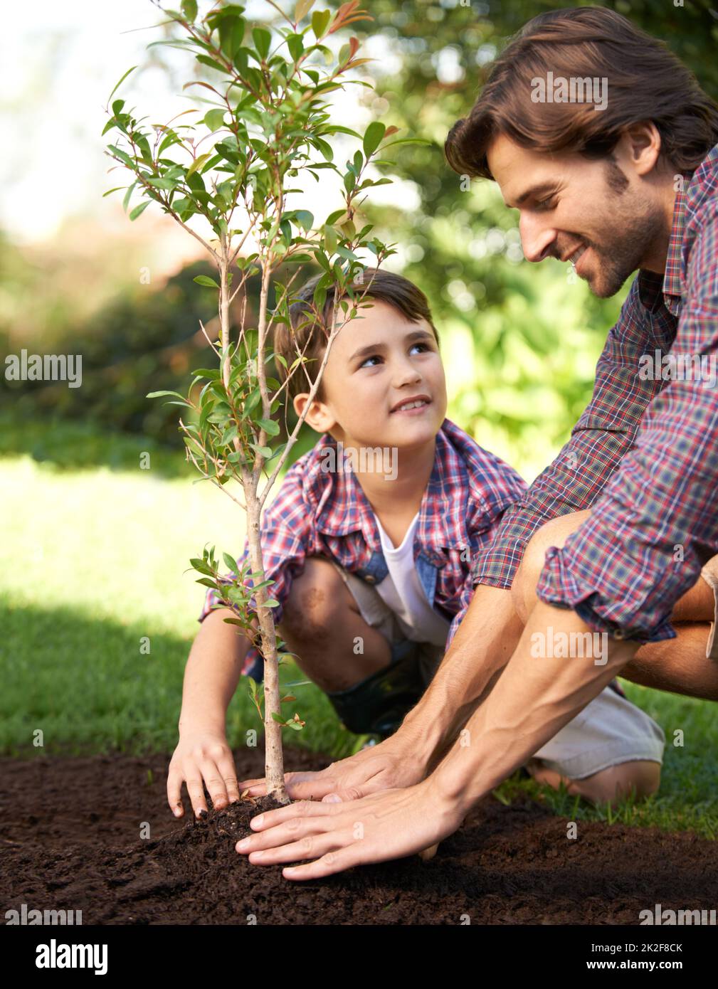 En savoir plus sur le jardinage de Dad. Photo d'un petit garçon et de son père plantant un arbre dans leur jardin. Banque D'Images