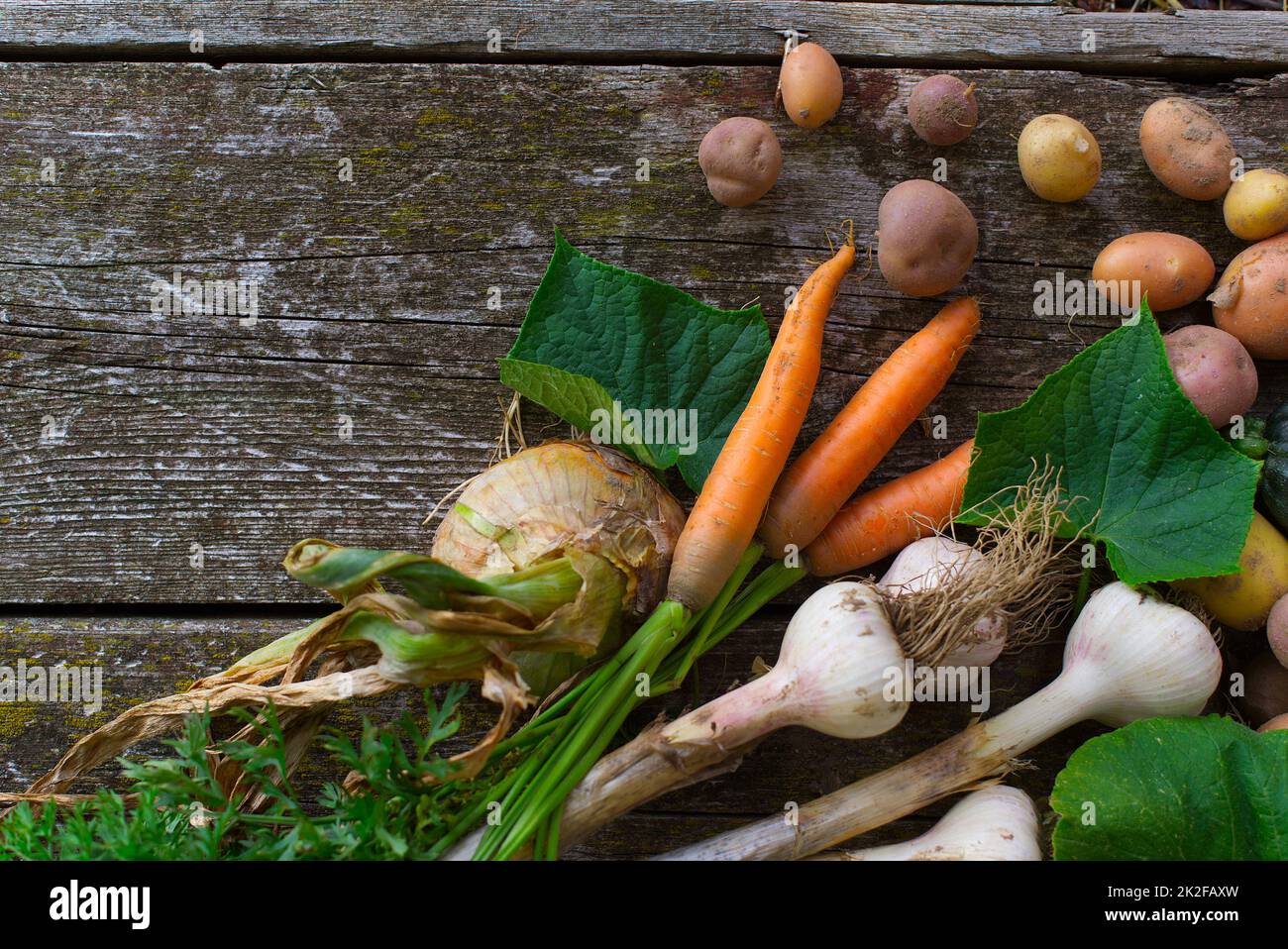 Assortiment de légumes de ferme fraîchement récoltés dans un plat Banque D'Images