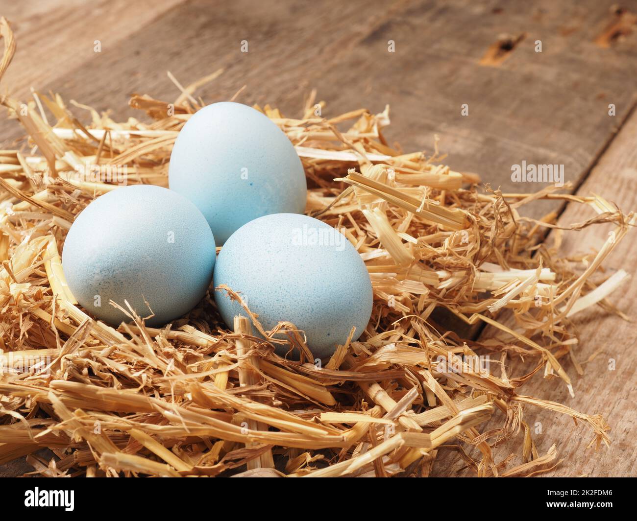 Avec des teintures naturelles teints par des œufs biologiques dans un nid de paille Banque D'Images