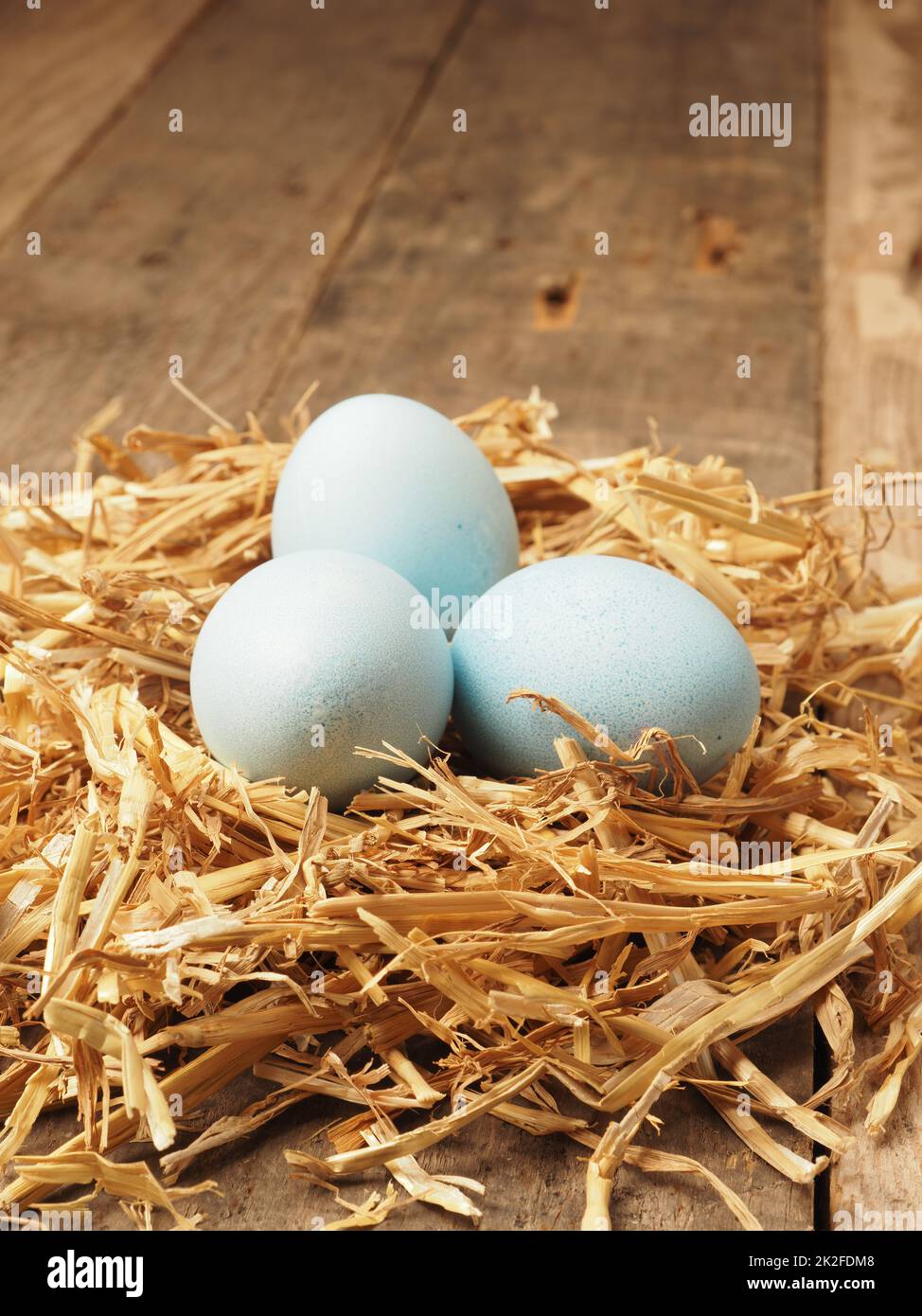 Avec des teintures naturelles teints par des œufs biologiques dans un nid de paille Banque D'Images