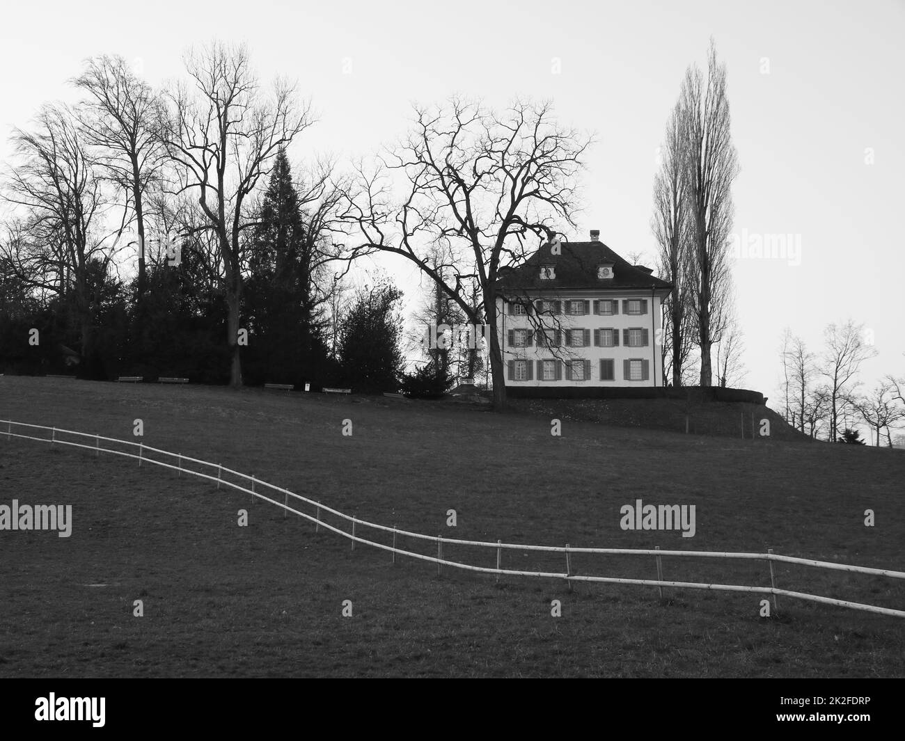Musée Richard Wagner et arbres, Lucerne. Banque D'Images