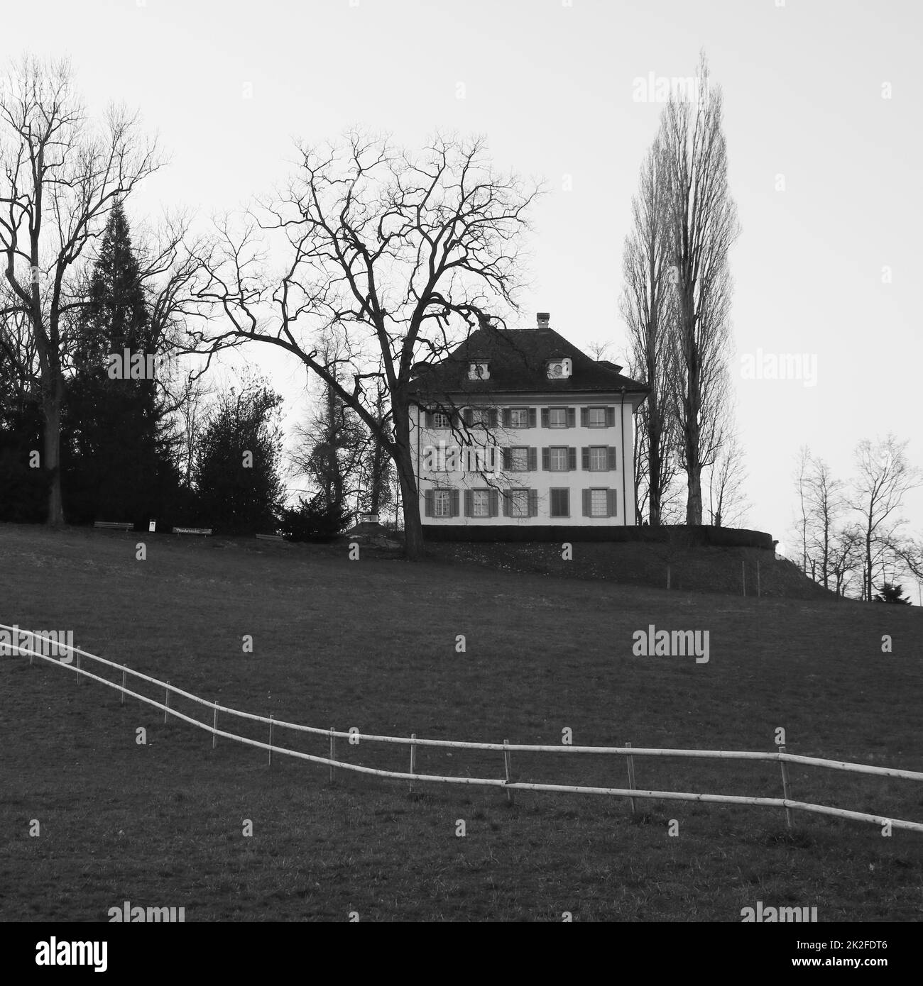 Musée Richard Wagner et arbres, Lucerne. Banque D'Images