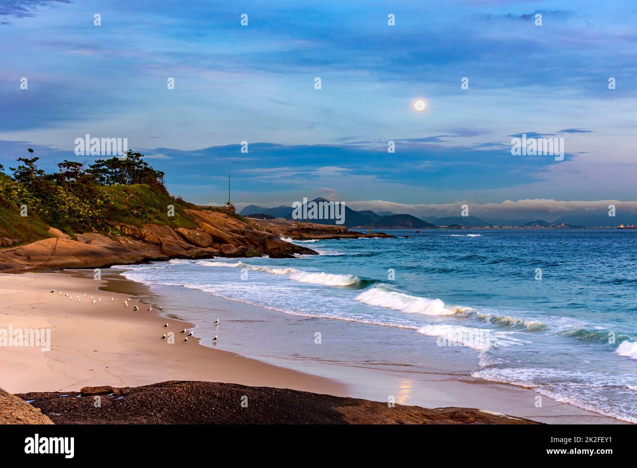 Mouettes reposant sur la plage au crépuscule Banque D'Images