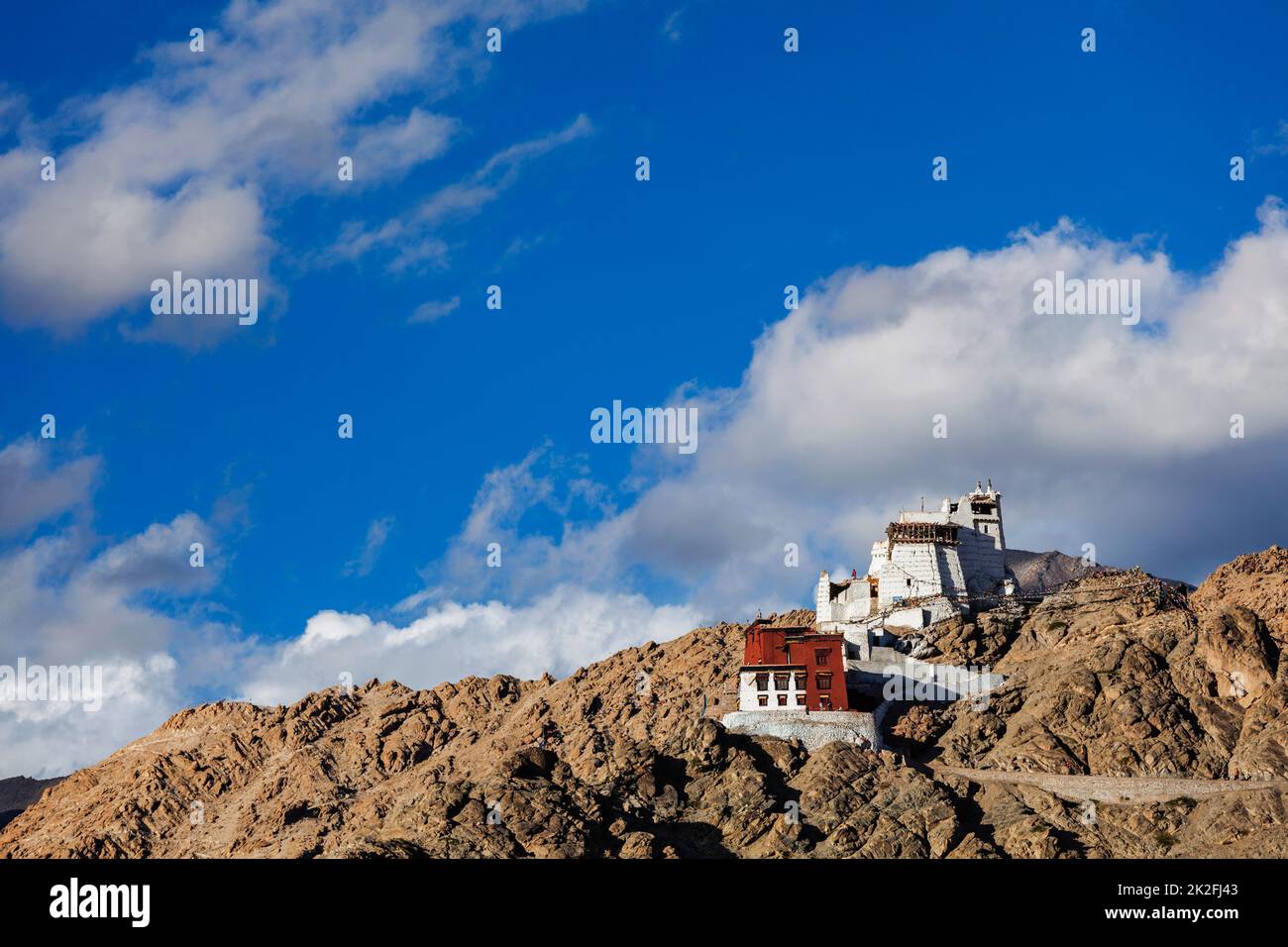Namgyal Tsemo gompa et fort. Leh, Inde Banque D'Images
