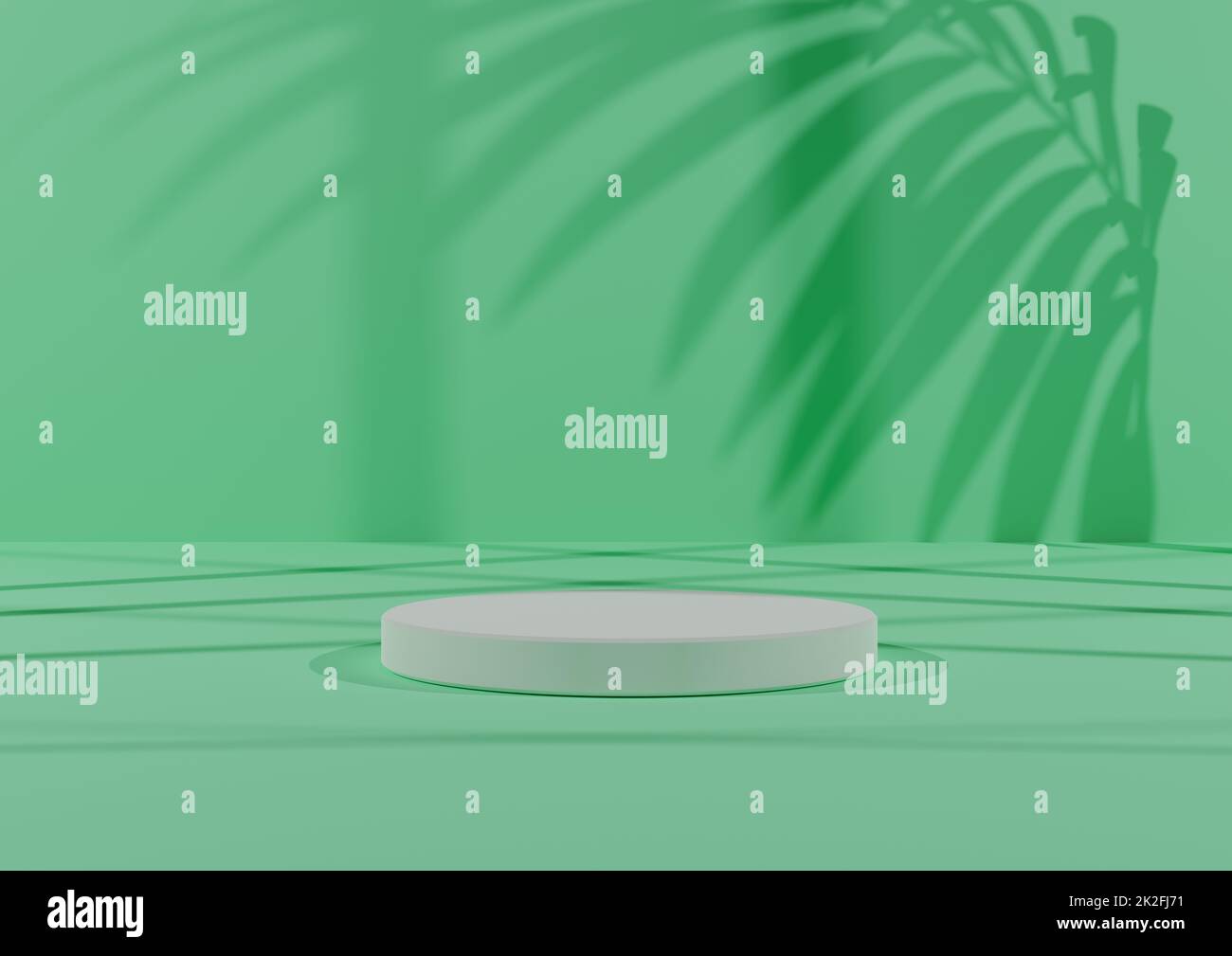 Composition de rendu simple et minimale de 3D avec un Podium cylindrique blanc ou Stand on Abstract Shadow Light, fond vert pastel pour l'affichage du produit. Banque D'Images