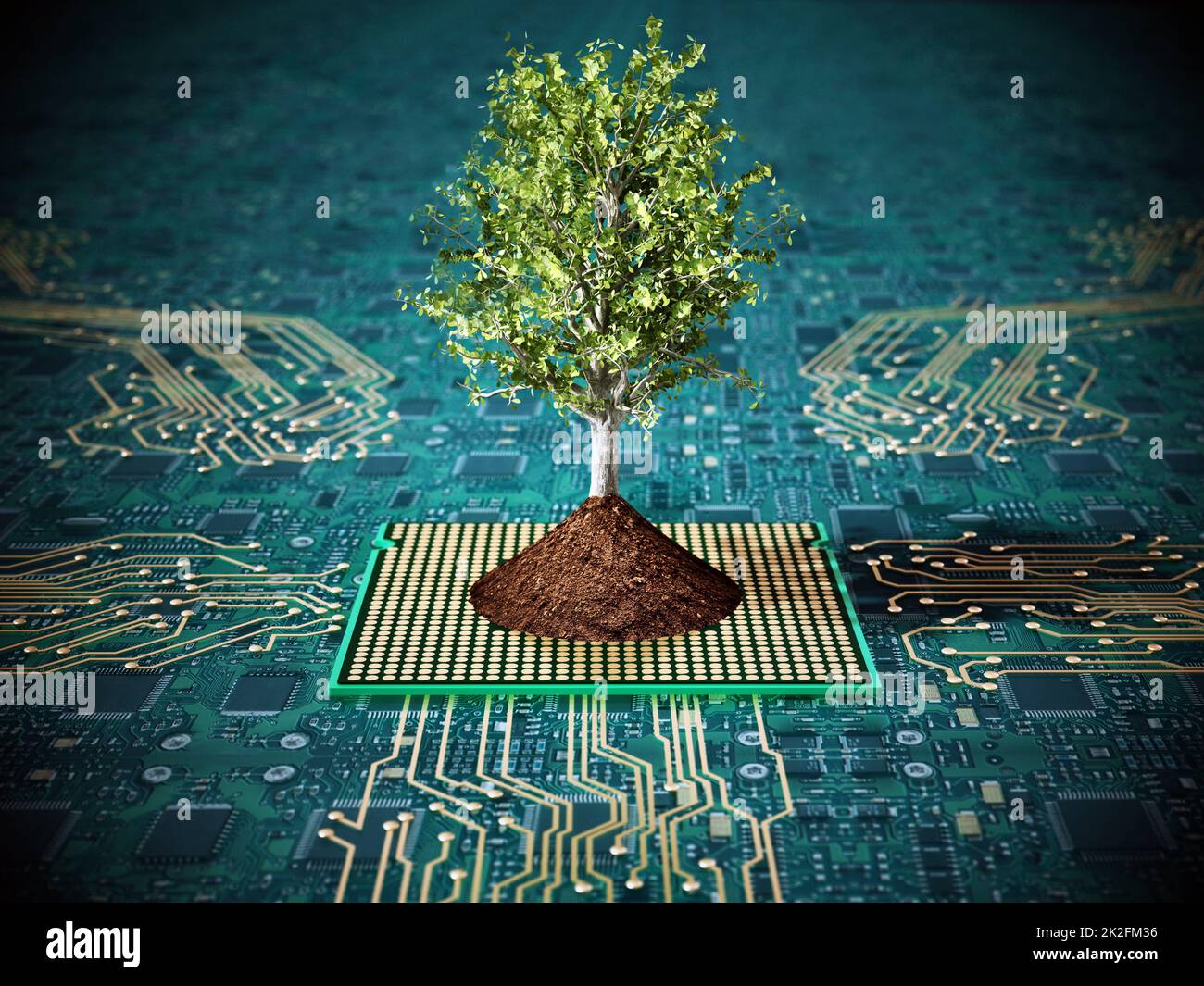 Arbre avec feuilles vertes et sol sur PCB. 3D illustration Banque D'Images