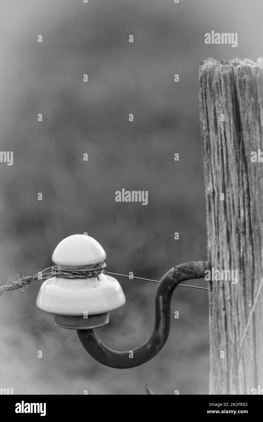 ancien poteau de clôture poreux avec isolant en céramique Banque D'Images