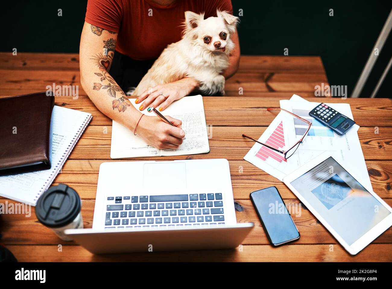 Mon meilleur ami veut toujours se câliner pendant que je travaille. Photo en grand angle d'une femme d'affaires méconnue assise avec son chien et écrivant dans son carnet. Banque D'Images