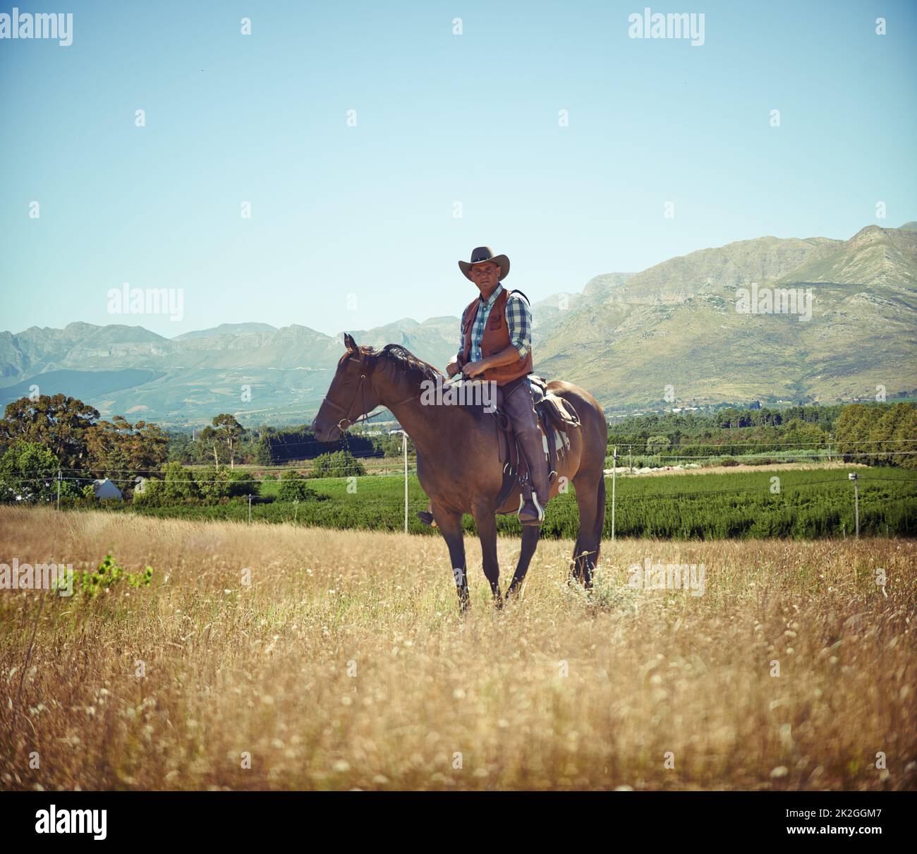 Yeeha. Portrait complet d'un homme mature sur un cheval dans un champ. Banque D'Images