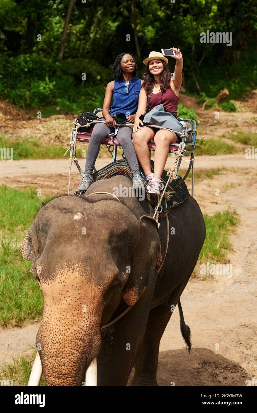 Nous avons pu saisir cette opportunité unique dans notre vie. Photo de jeunes touristes en train de prendre un selfie tout en faisant une balade à dos d'éléphant dans une forêt tropicale. Banque D'Images