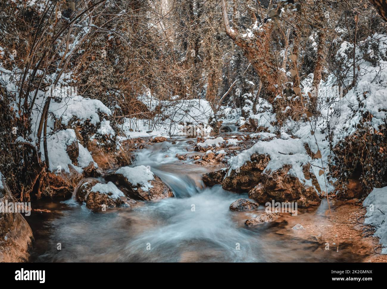 Beau paysage d'hiver Banque D'Images