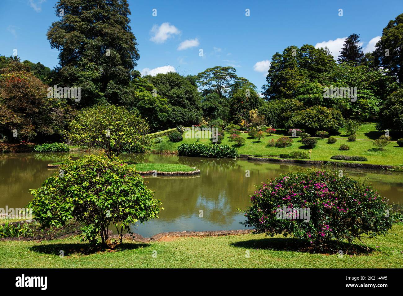 Jardins botaniques royaux de Peradeniya à Kandy, Sri Lanka Banque D'Images