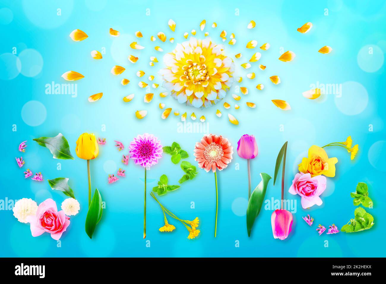 Fleurs et herbes avec le mot ressort. Composition florale créative. Banque D'Images