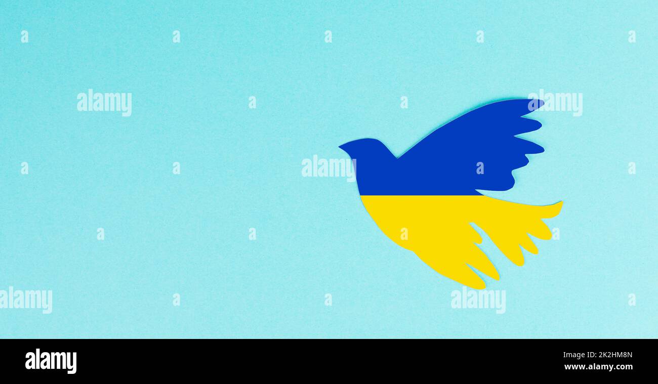 Colombe dans les couleurs du drapeau ukrainien, symbole de paix et d'espoir, oiseau de pigeon bleu et jaune, guerre avec la russie Banque D'Images