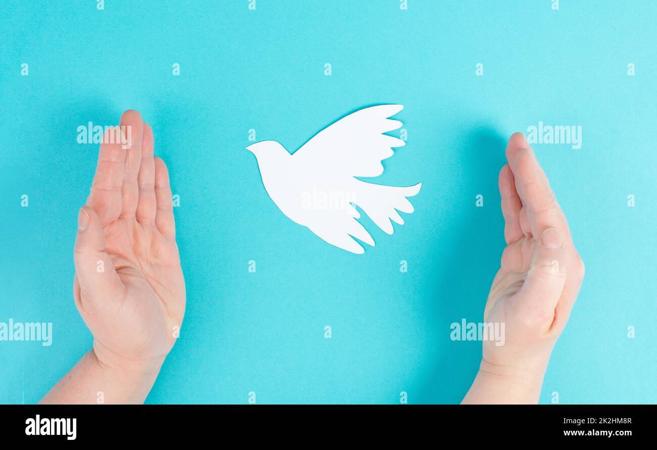 Tenant une colombe blanche dans les mains, symbole de paix, pigeon découpé en papier, espace de copie pour le texte, fond bleu Banque D'Images
